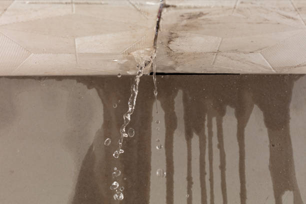 Professional Structural Drying technician working in Crockett, TX